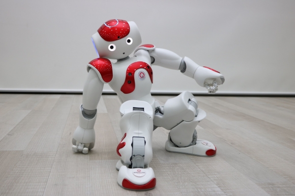 NAO Robot Eğitim Platformu
